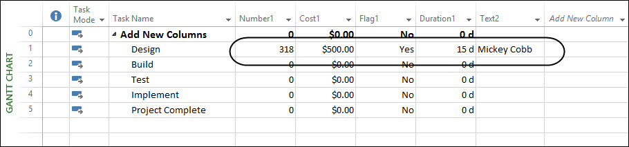 04-inserted-custom-columns