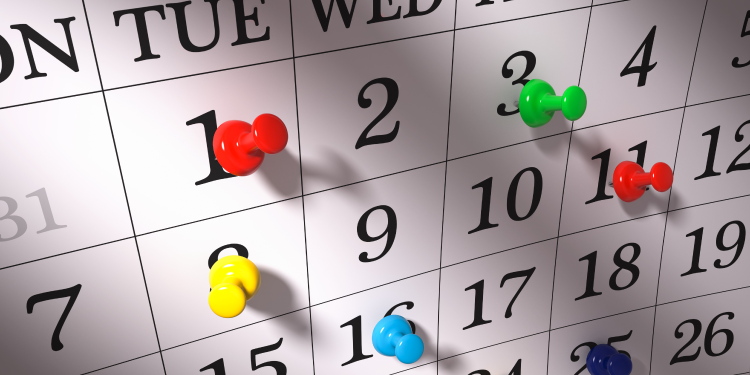 Understanding the Power of Calendars in Microsoft Project – Sensei Project Solutions